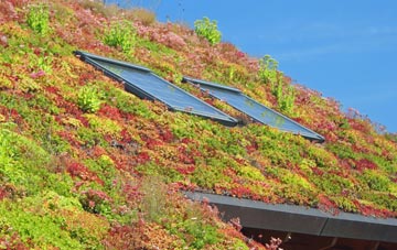 Higham Hill living roof systems