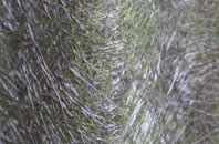 Higham Hill fibreglass roof work